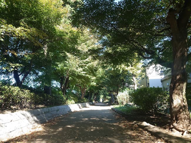 遊歩道