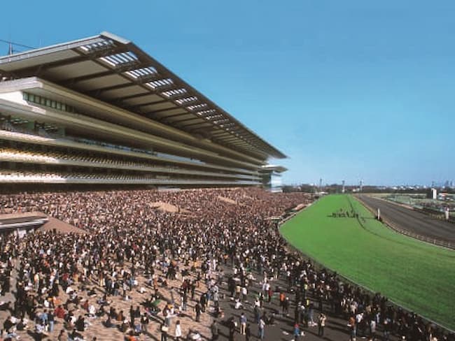 13005444_00000_加工済み