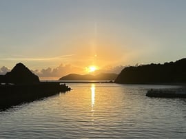 Image_20260120_085004_383