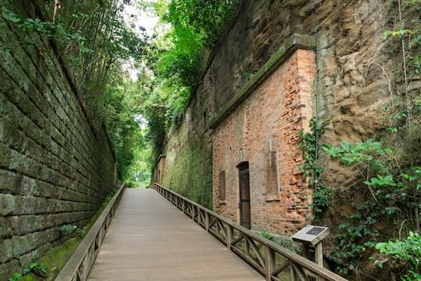 P4_横須賀_猿島砲台_YHS3406_s