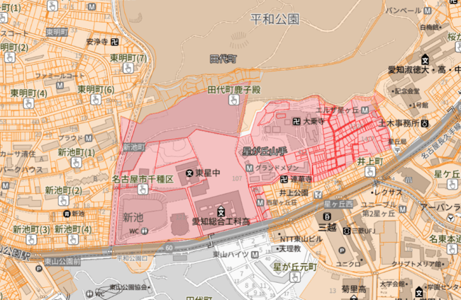 ninizahyoarea1