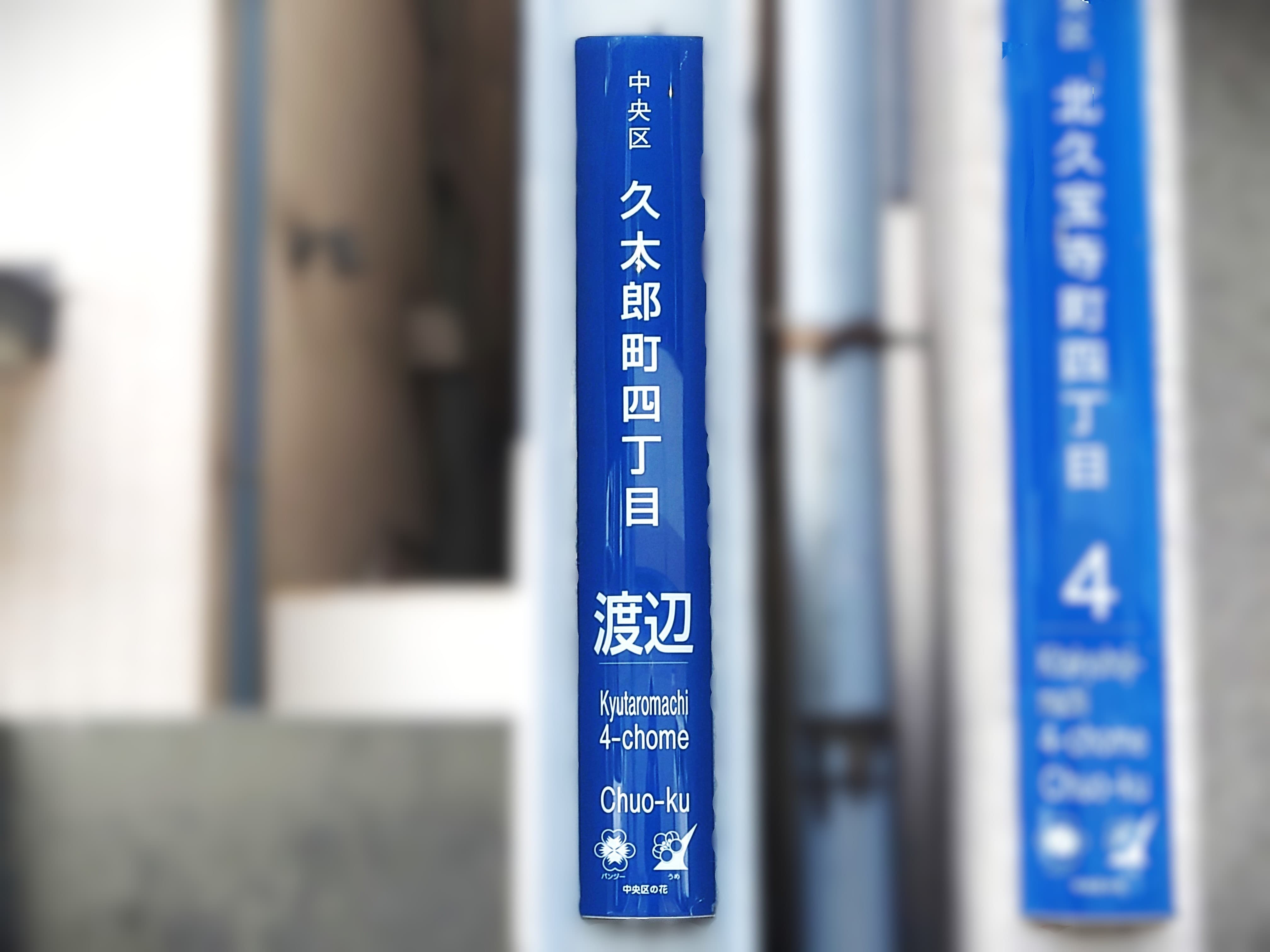 コラムを公開しました｜住居表示で主流の「街区方式」と珍しい「道路方式」それぞれの違いとは？のサムネイル